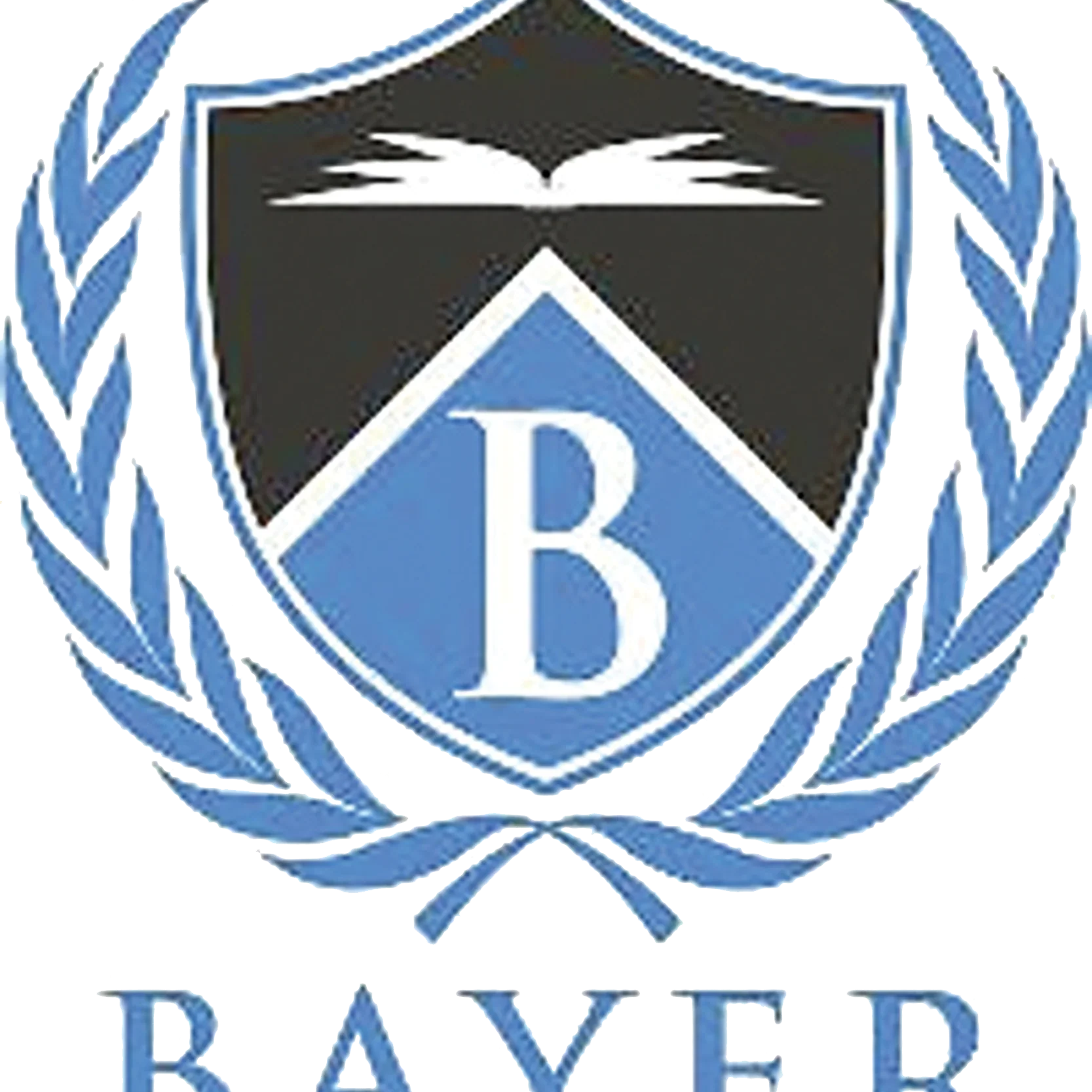 Bayer Private School